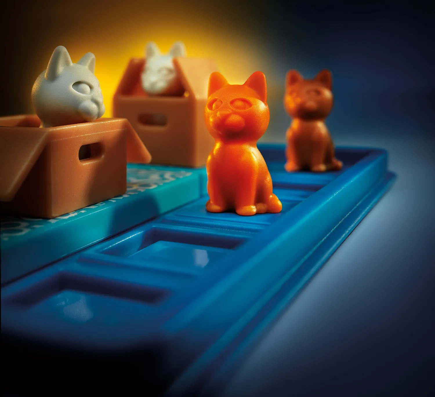 Cats & Boxes Logic Game