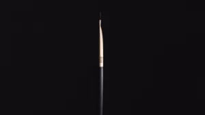Precision Brushes Set
