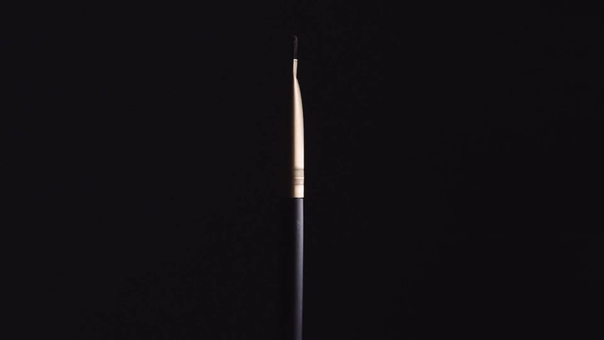 Precision Brushes Set